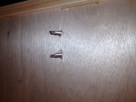 垂木を狙わない施工だと雨漏りの原因に!